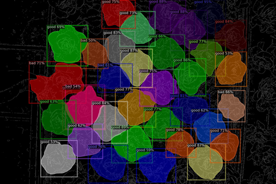 Neural network